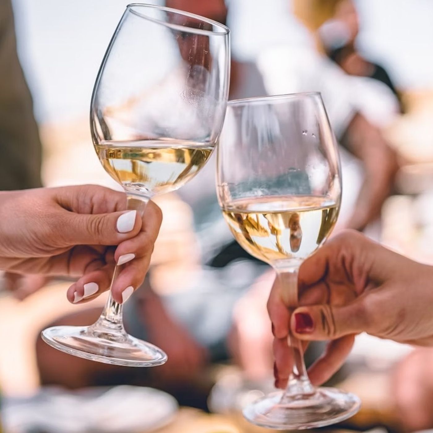 Angelo Lella: «Nel mio locale a Verona vino gratis per chi mangia senza telefono» episode artwork