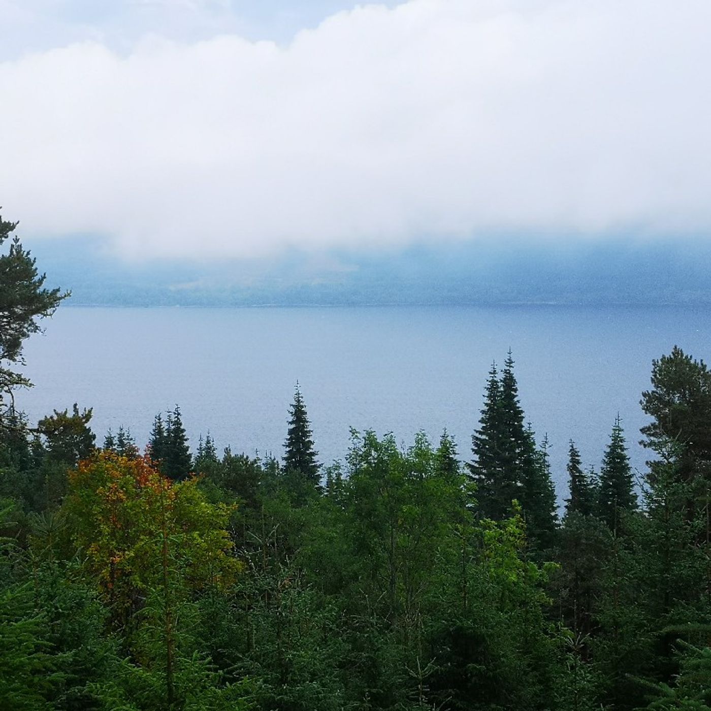 Hegylakók nyomában