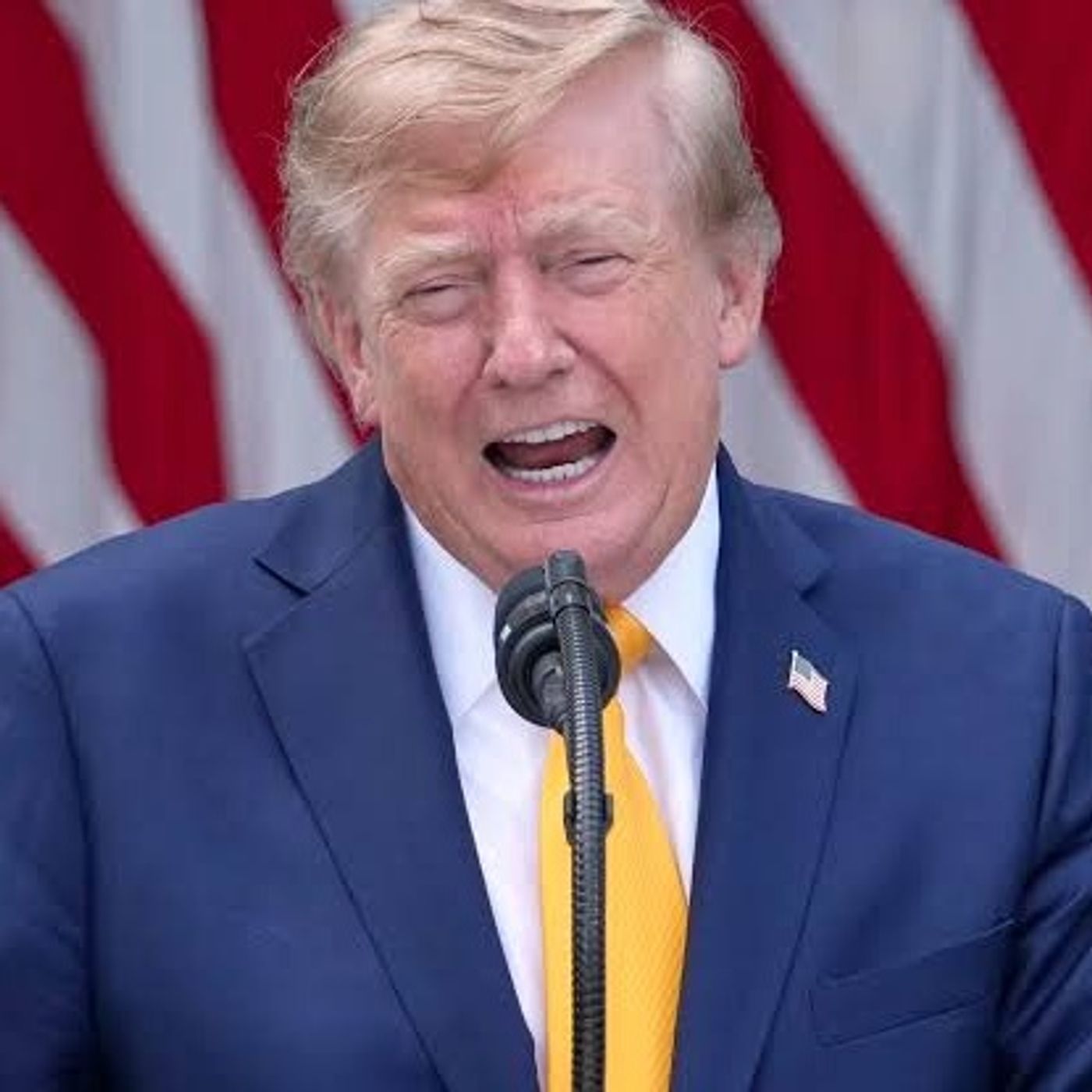 Trump provokes price-hiking trade war with Canada amid an affordability election episode artwork