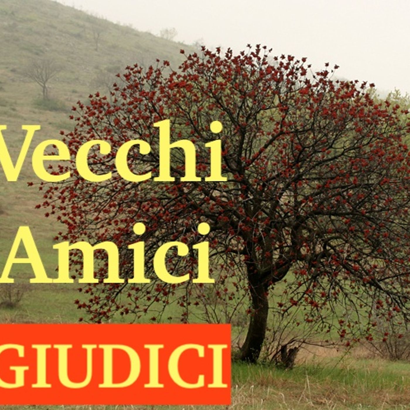 Vecchi Amici... Bibbia