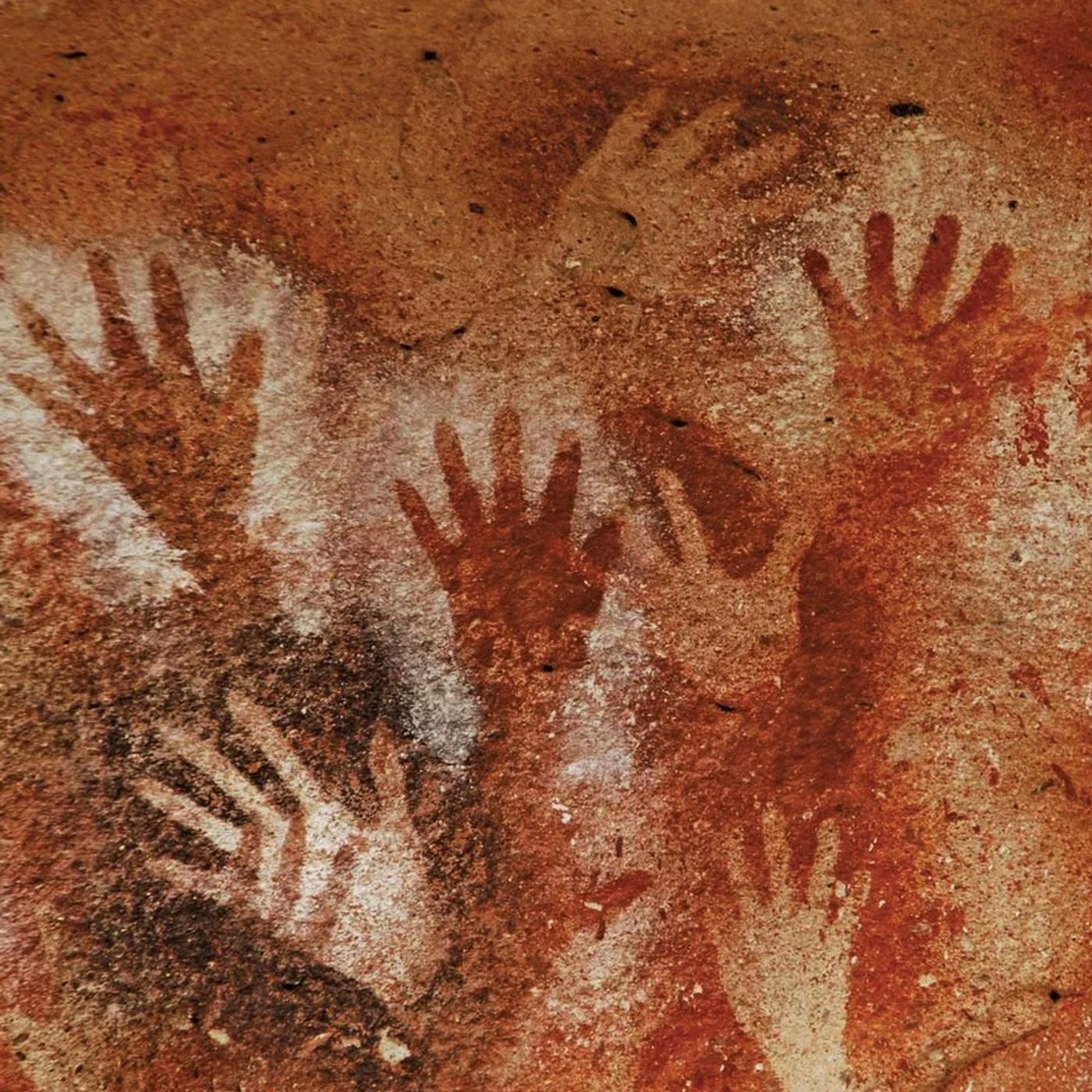 Sergio Daniele Donati: Il sogno delle argille