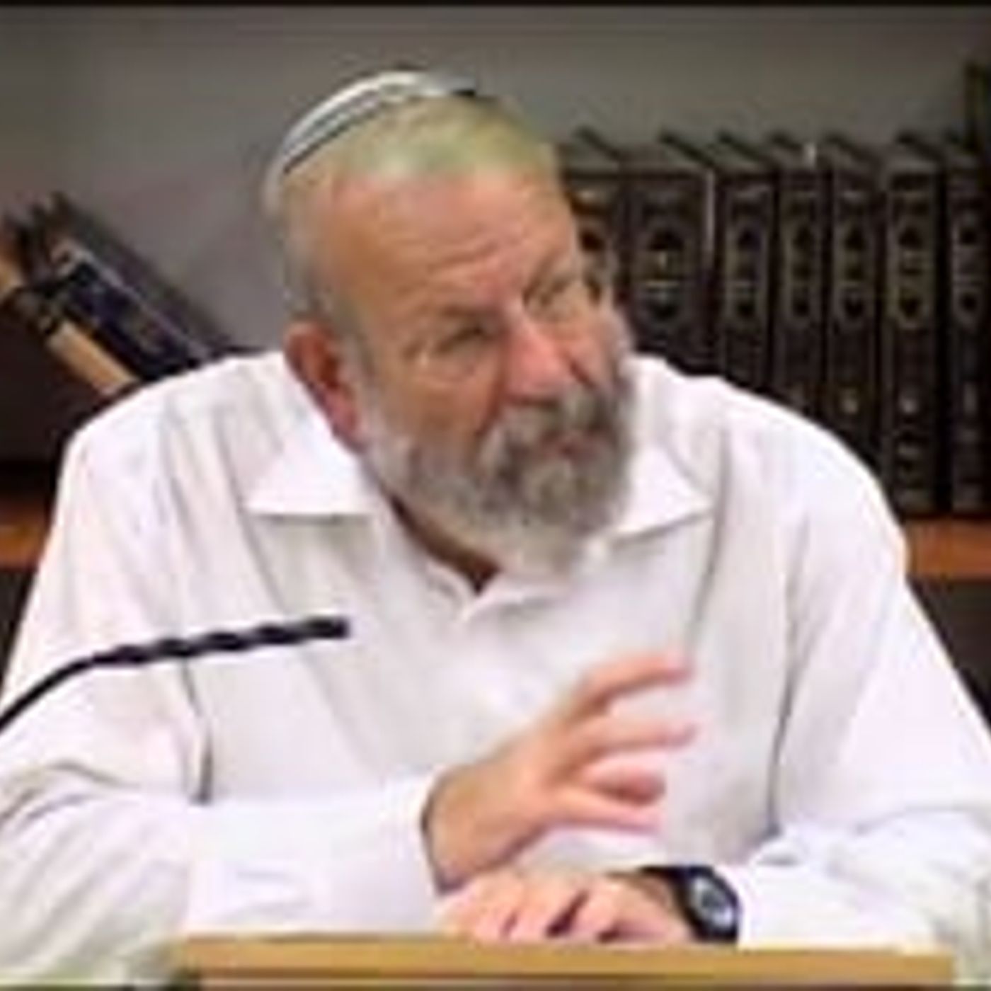 מפגש עם חגי הקציר הביכורים השבועות ומתן תורה – לאור מגילת רות בחבלי משיח | הרב אלישע וישליצקי זצ"ל | ד סיון תשעא episode artwork