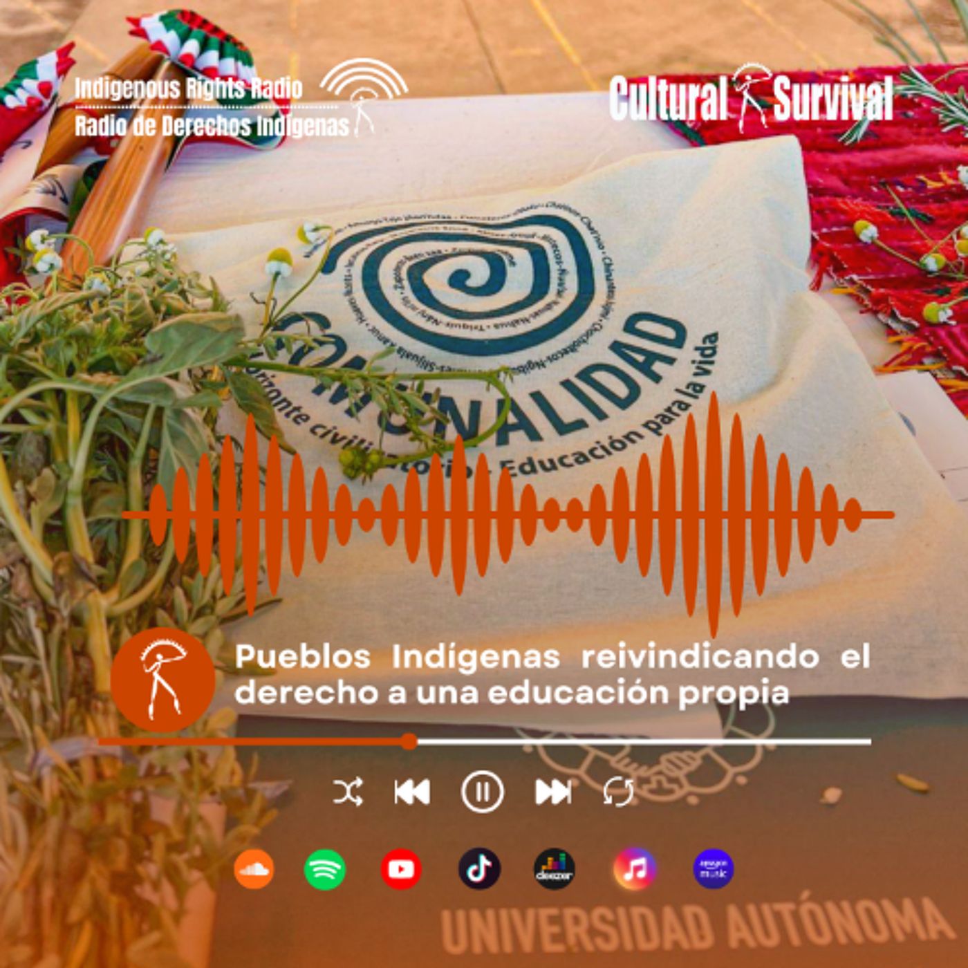 Pueblos Indígenas reivindicando el derecho a una educación propia