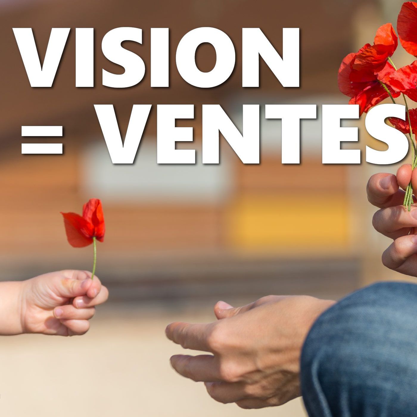 Développer son cabinet de consultant passe par une vision d’entreprise acérée #129