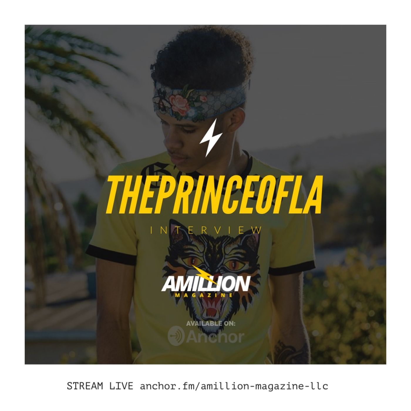 AMillion Magazine LLC