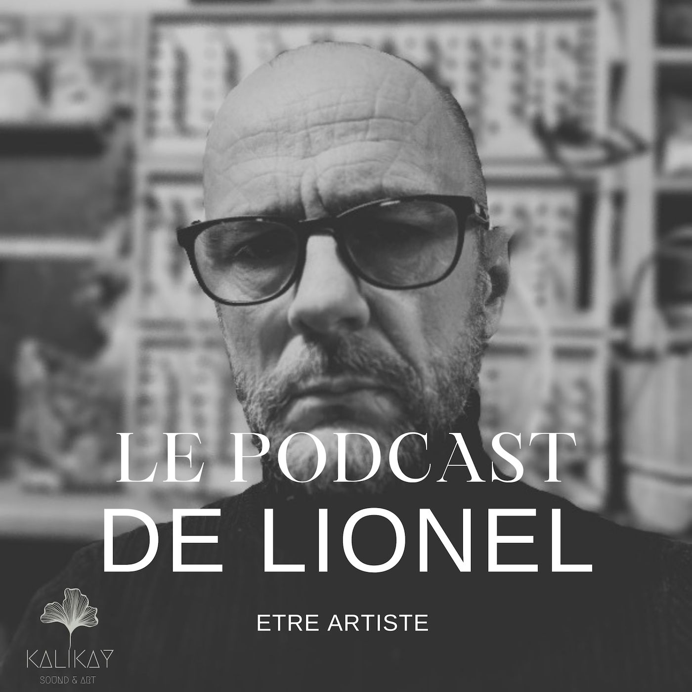 Le Podcast de Lionel cover art