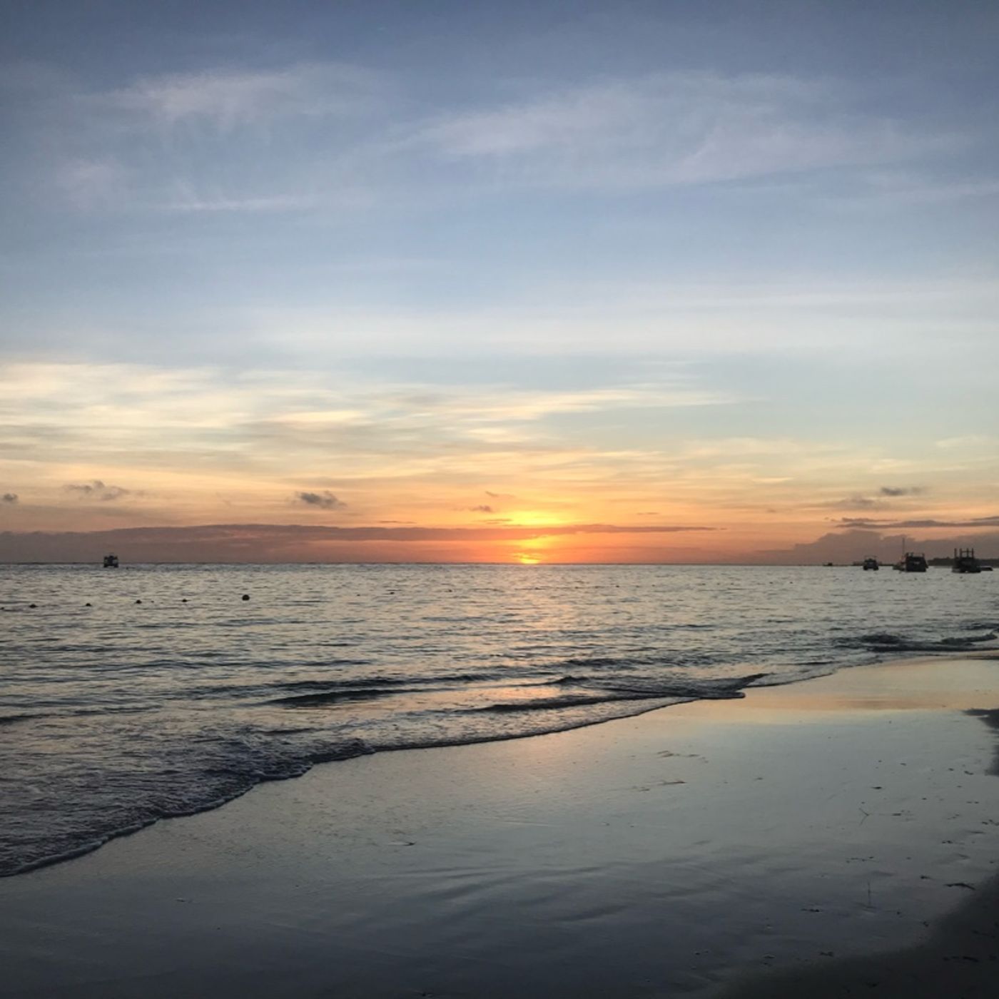 Episodio 8 - El podcast de Luismiguel Rosa manzanillo