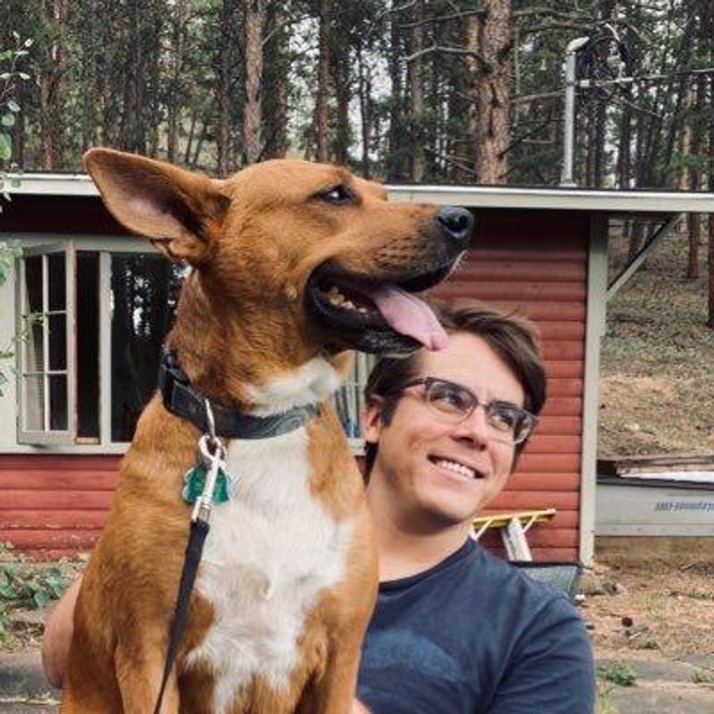 تحليلات لمباريات كرة القدم cover art