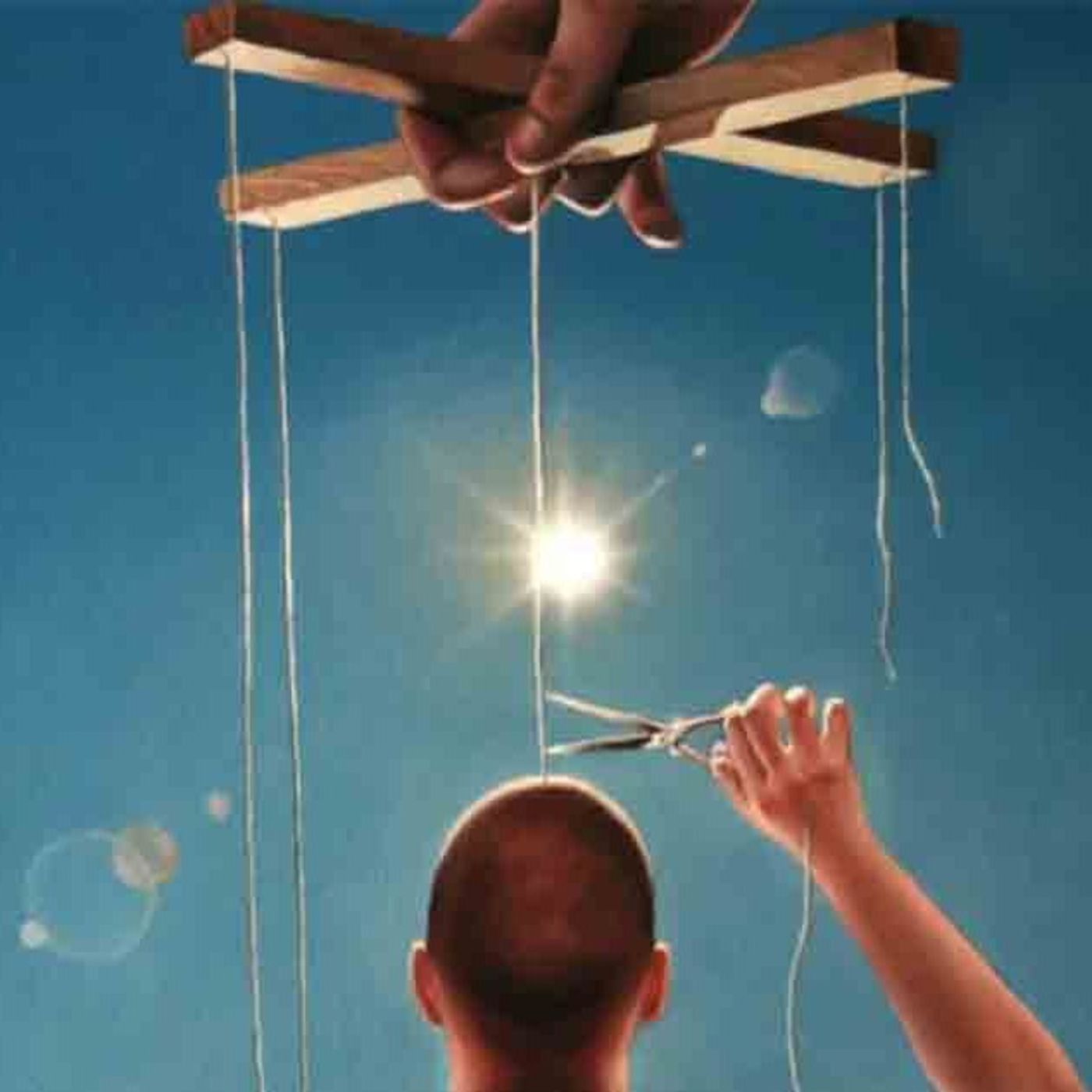 The Michael Decon Program