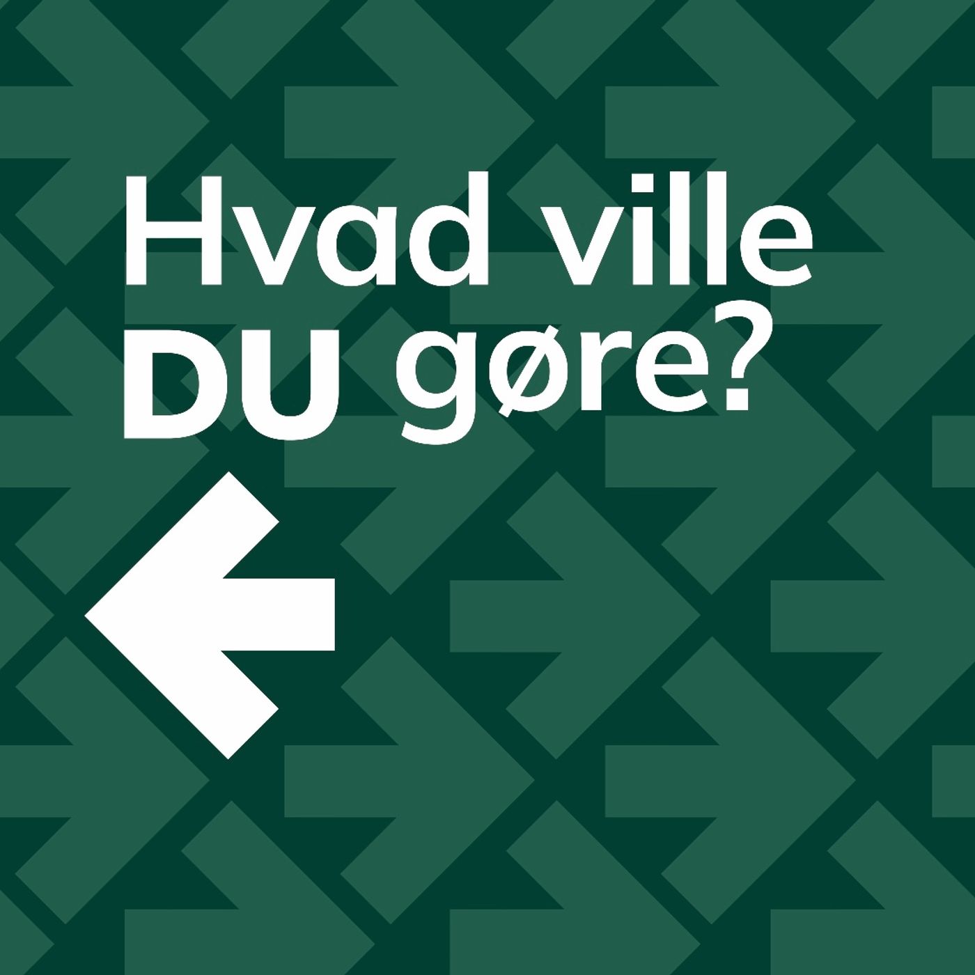 Hvad ville DU gøre? af Lindhardt & Ringhof Uddannelse
