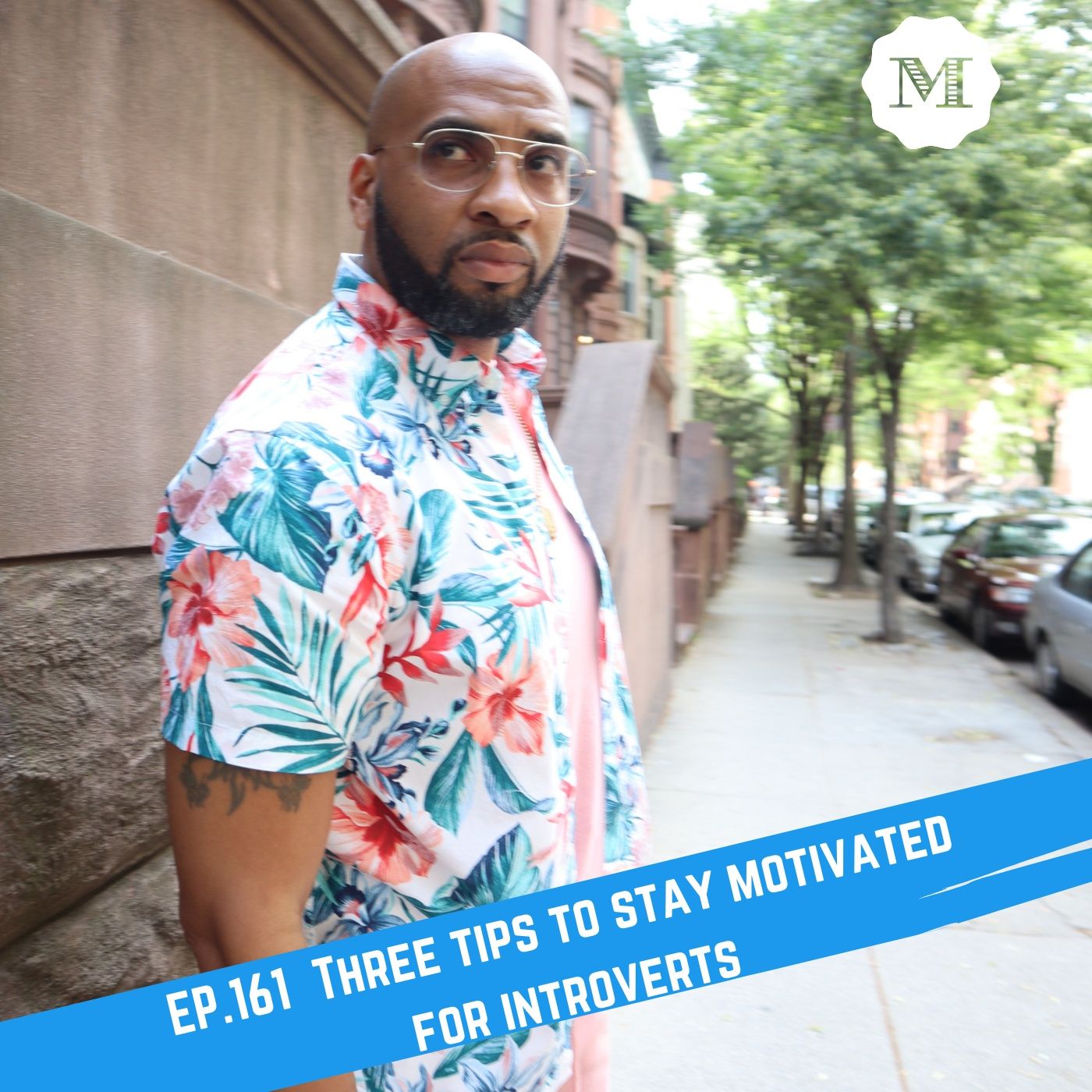 Ep. 161 3 Tips on how to stay Motivated for introverts episode artwork