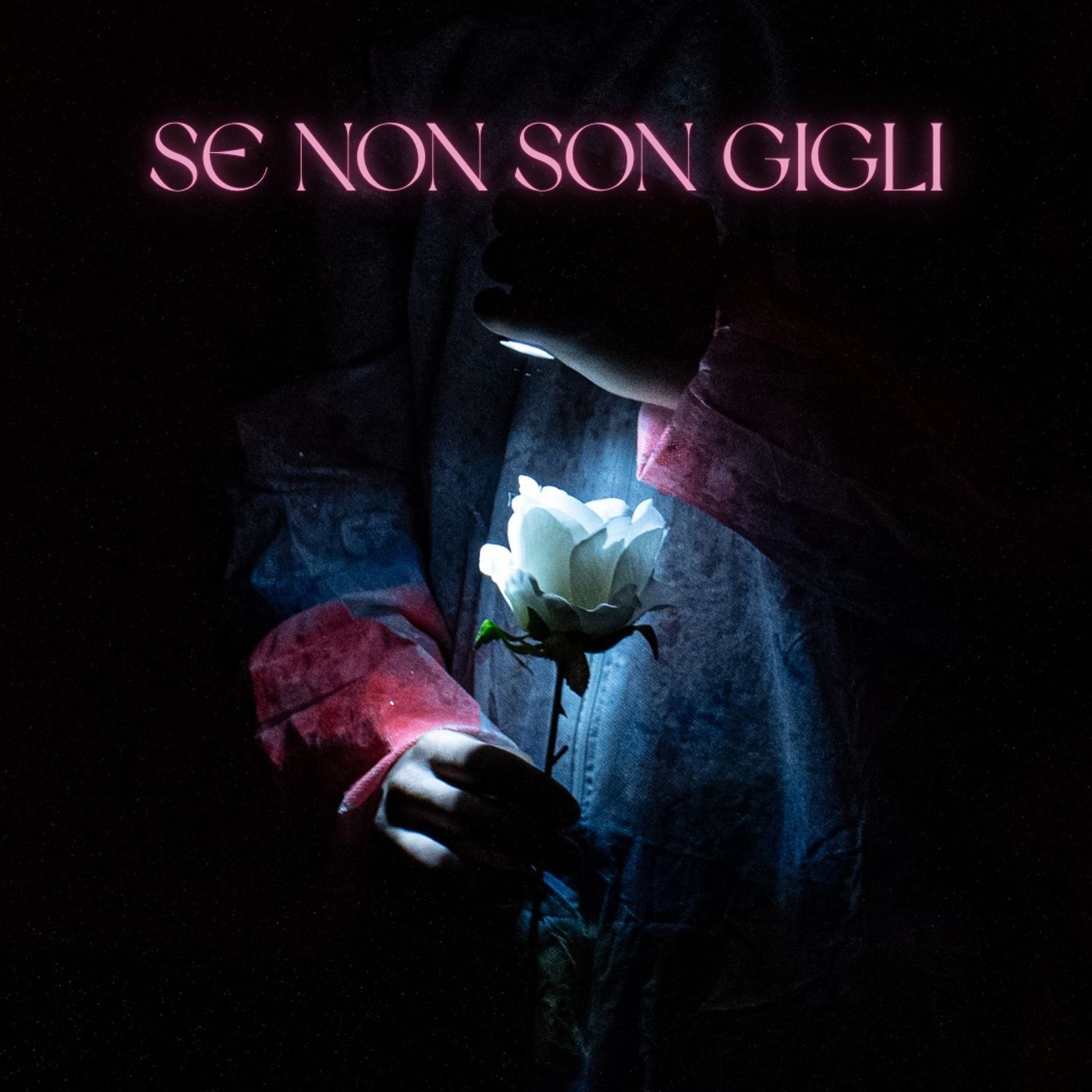Se non son gigli podcast artwork