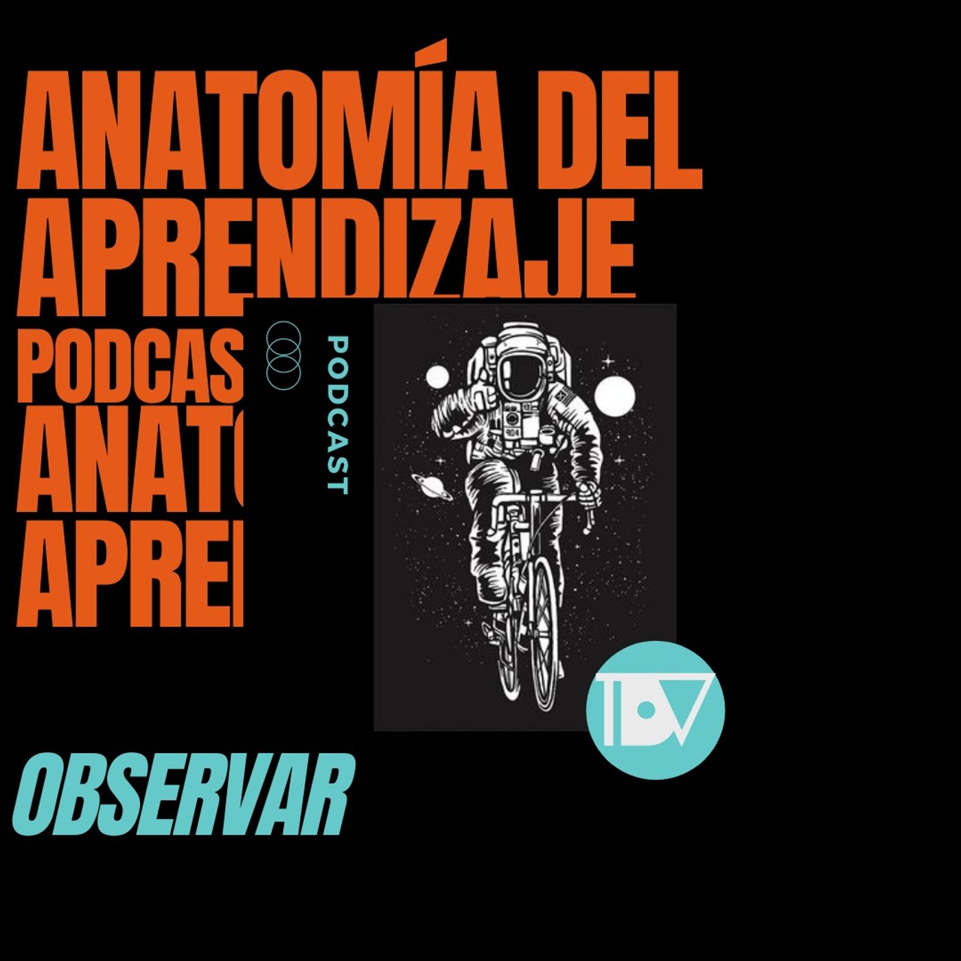 Anatomía del Aprendizaje