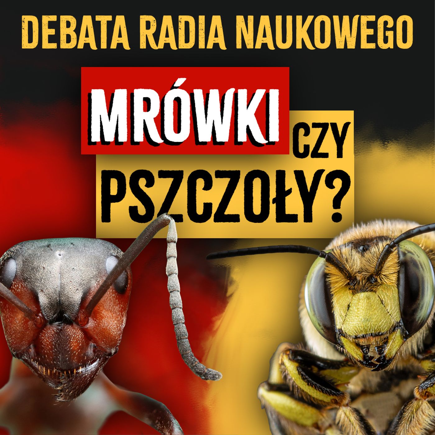 #314 Mrówki czy pszczoły? DEBATA Radia Naukowego | dr Michał Kolasa, dr Igor Siedlecki episode artwork