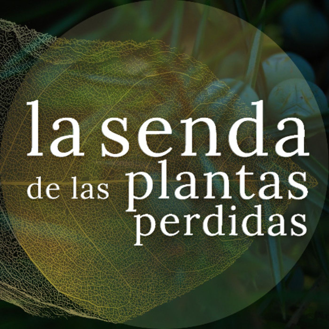 La Senda de las Plantas Perdidas