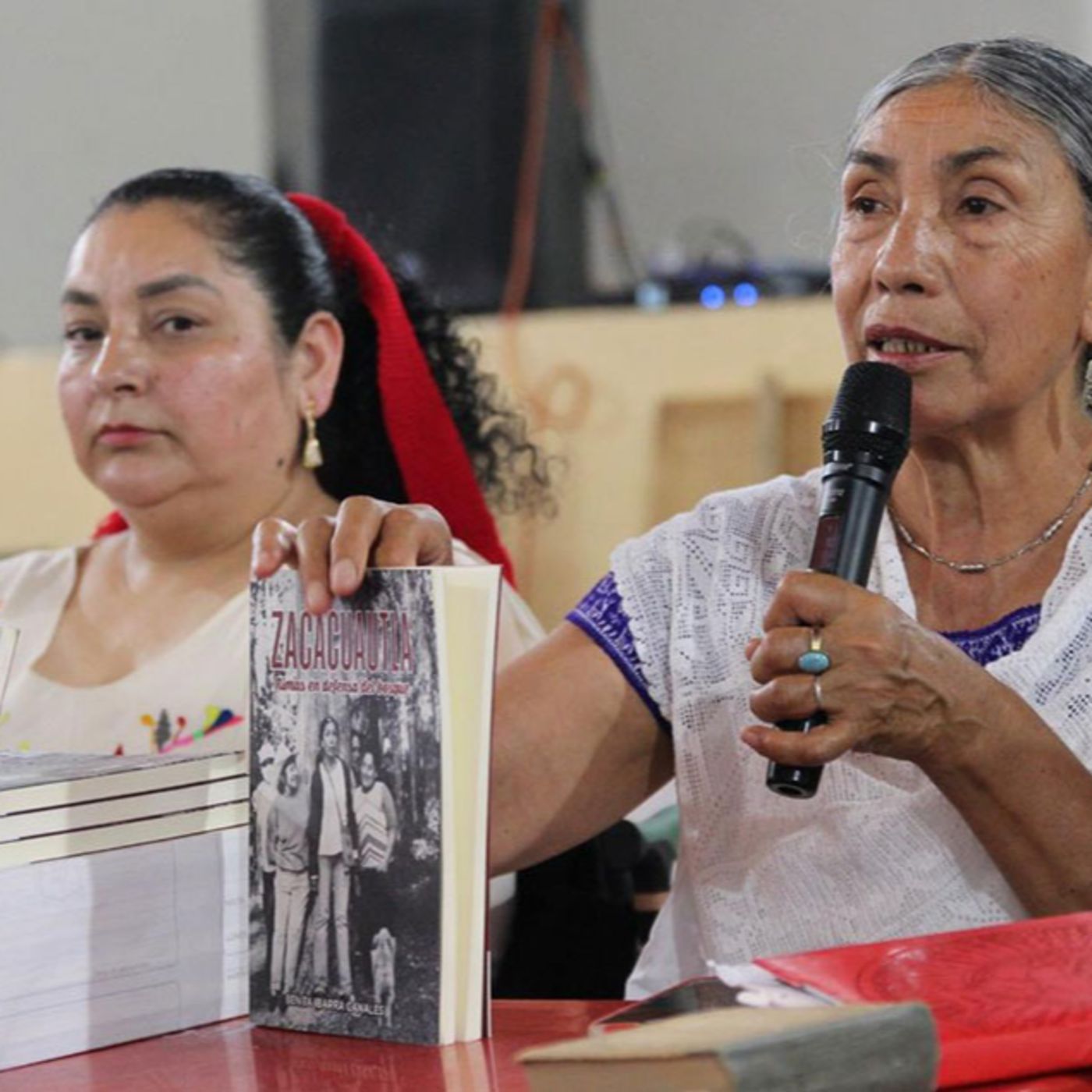 Benita Ibarra Canales: rimas contra la tala episode artwork