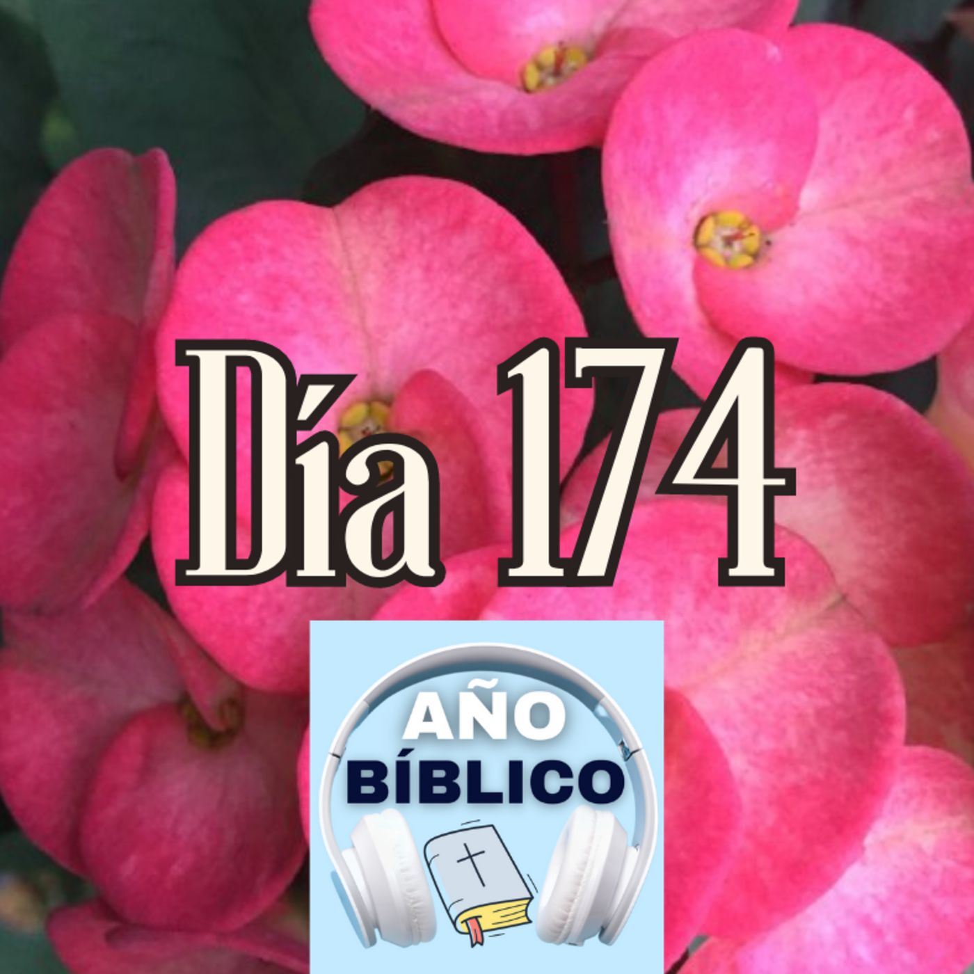 Día 174 - Salmos 74:18-23, 1 Crónicas 2:42-55; 1 Crónicas 3-4 y Romanos 2:1-16 episode artwork