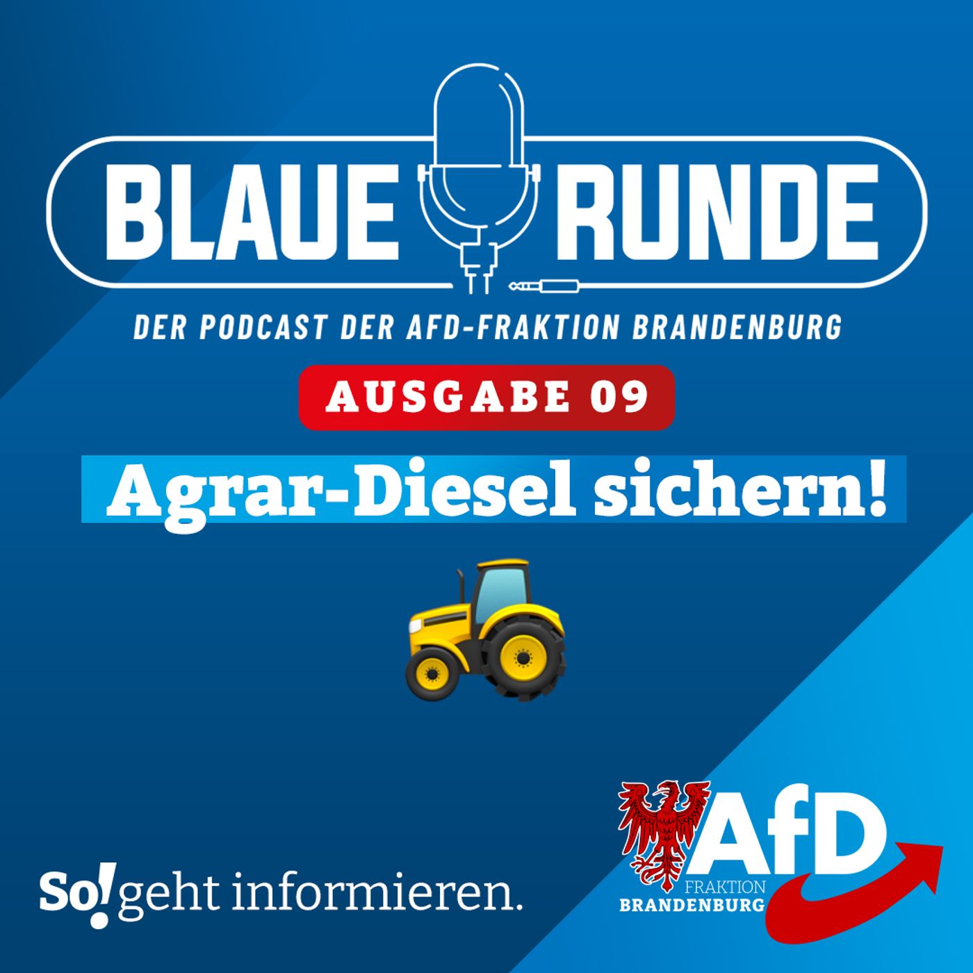 Die Blaue Runde - der Podcast der AfD-Fraktion Brandenburg