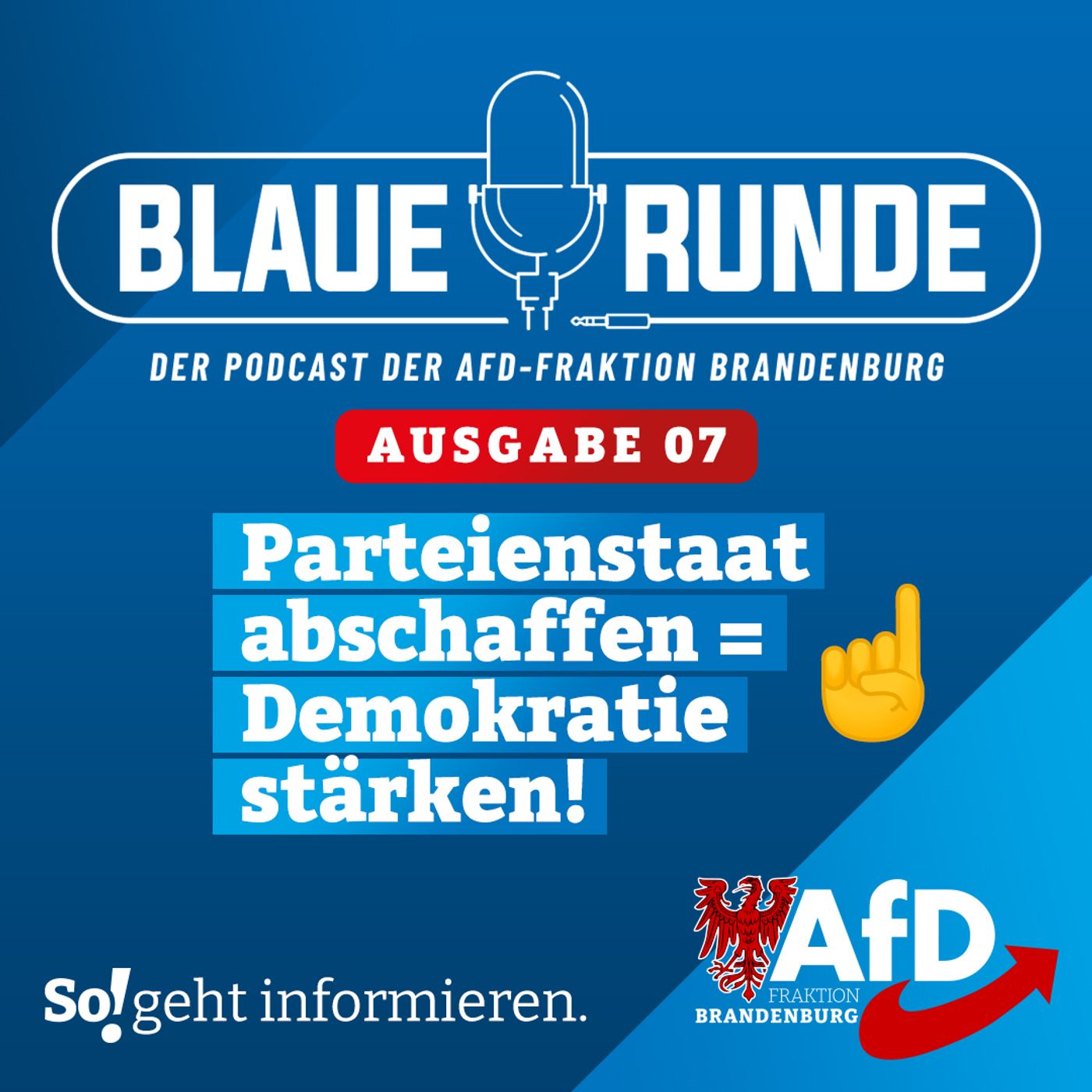 Parteienstaat abschaffen = Demokratie stärken! | Die Blaue Runde, Ausgabe 07/24 vom 07.02.2024 episode artwork