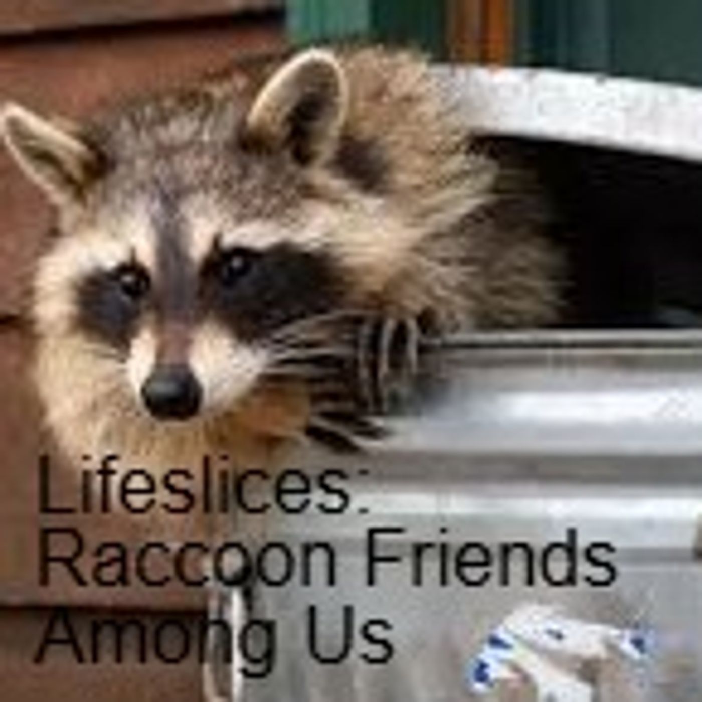 Lifeslices: Raccoon Friends Among Us episode artwork