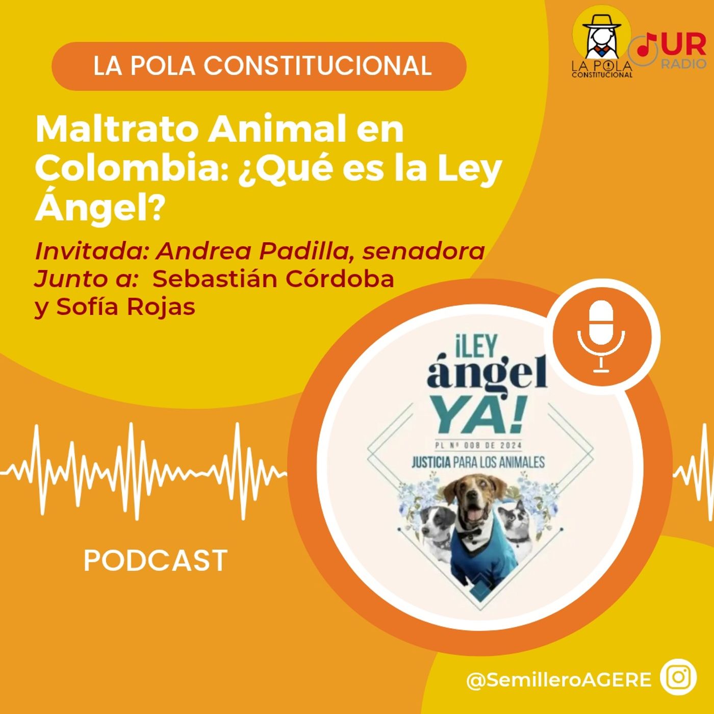 Maltrato Animal en Colombia - ¿Qué es la Ley Ángel? Junto a Andrea Padilla episode artwork