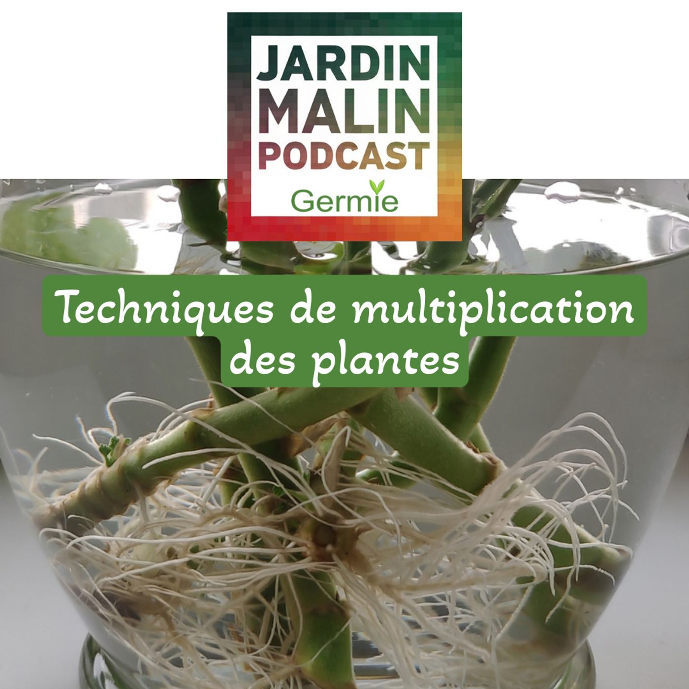 JARDIN MALIN by Germie