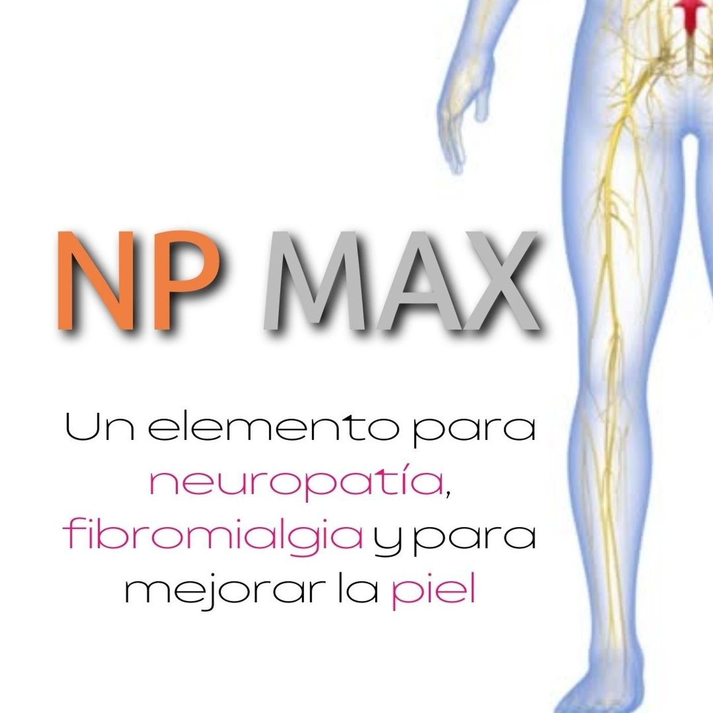 ¿Neuropatía o Fibromialgia? Tienes que conocer el NP MAX