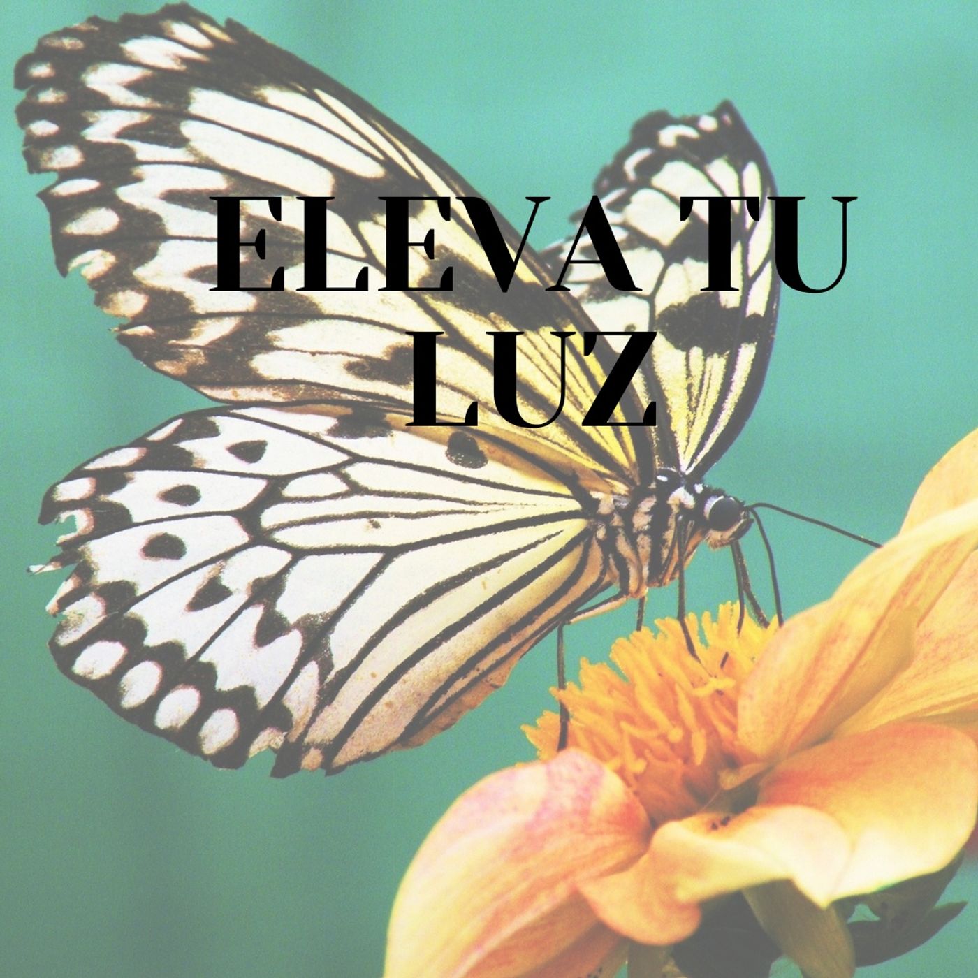 Eleva tu luz podcast