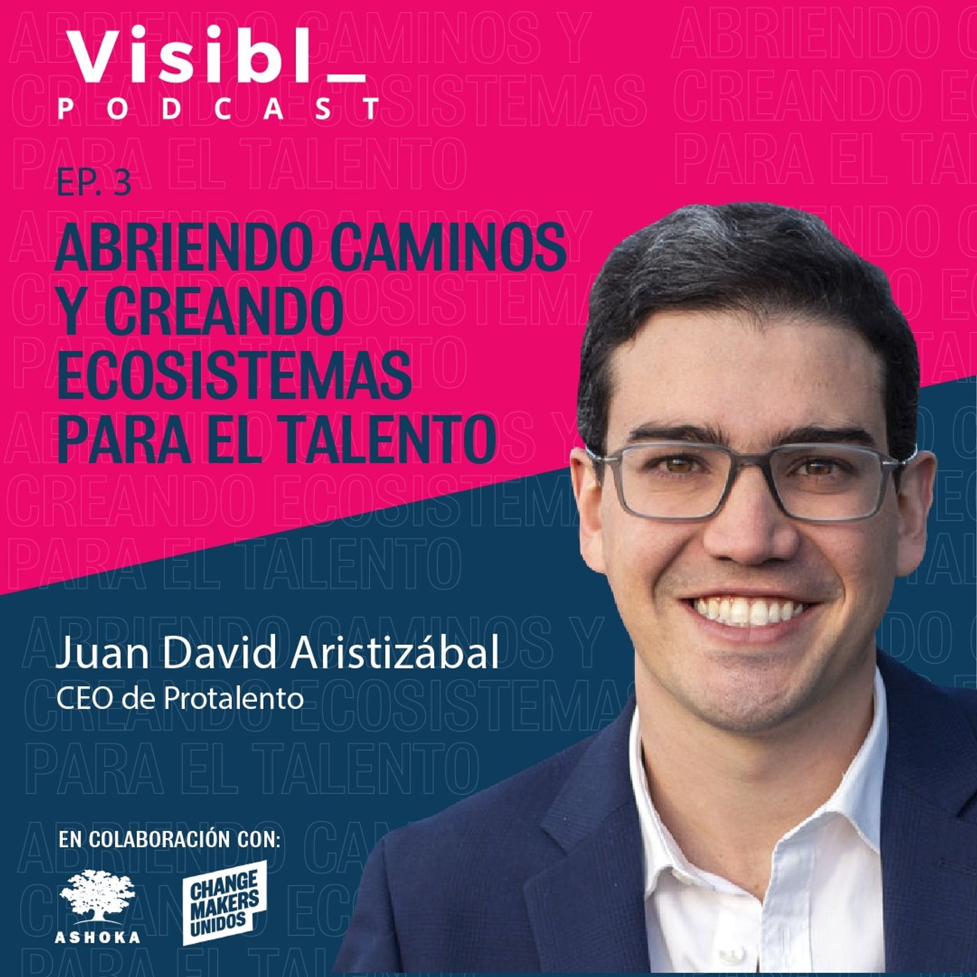 Visibl_  Innovación Social