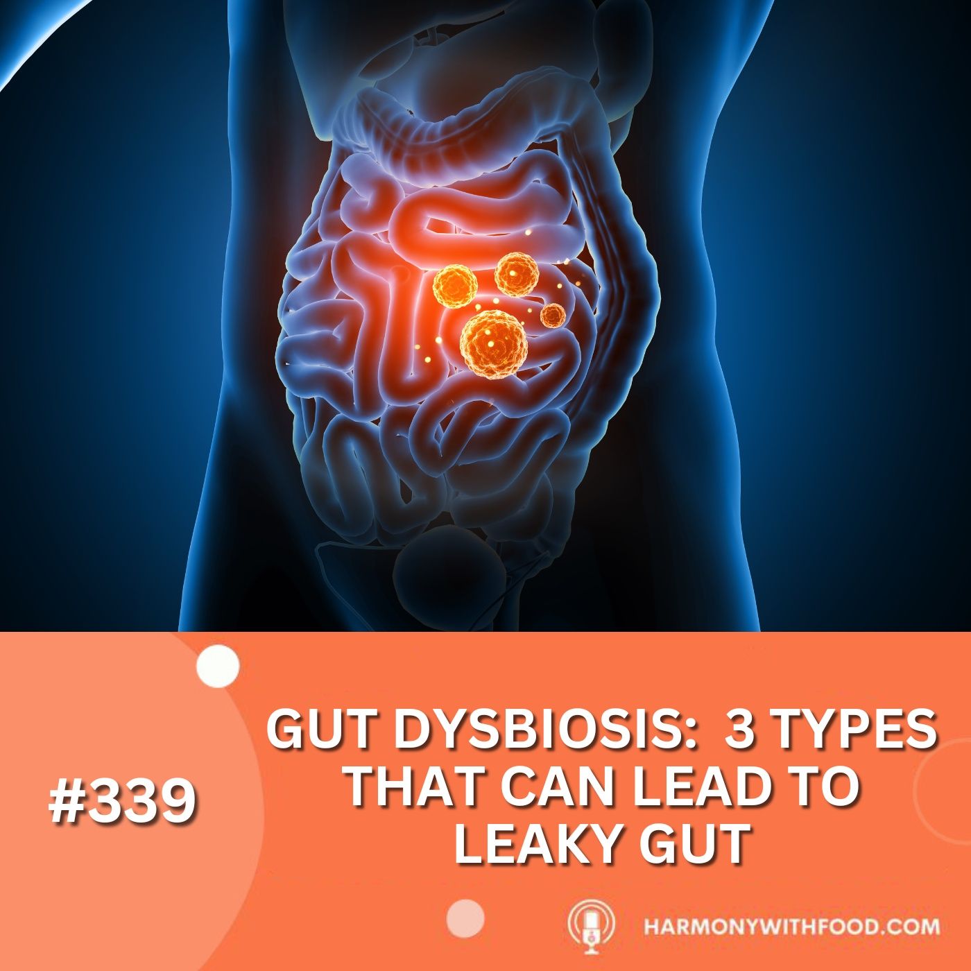 Gut Dysbiosis:  3 Types That Can Lead to Leaky Gut episode artwork