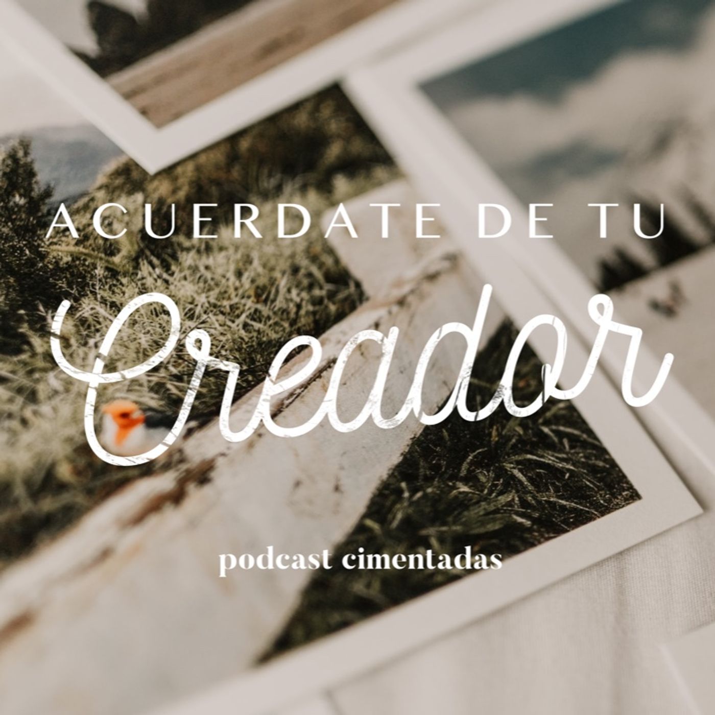 Acuérdate de tu Creador episode artwork
