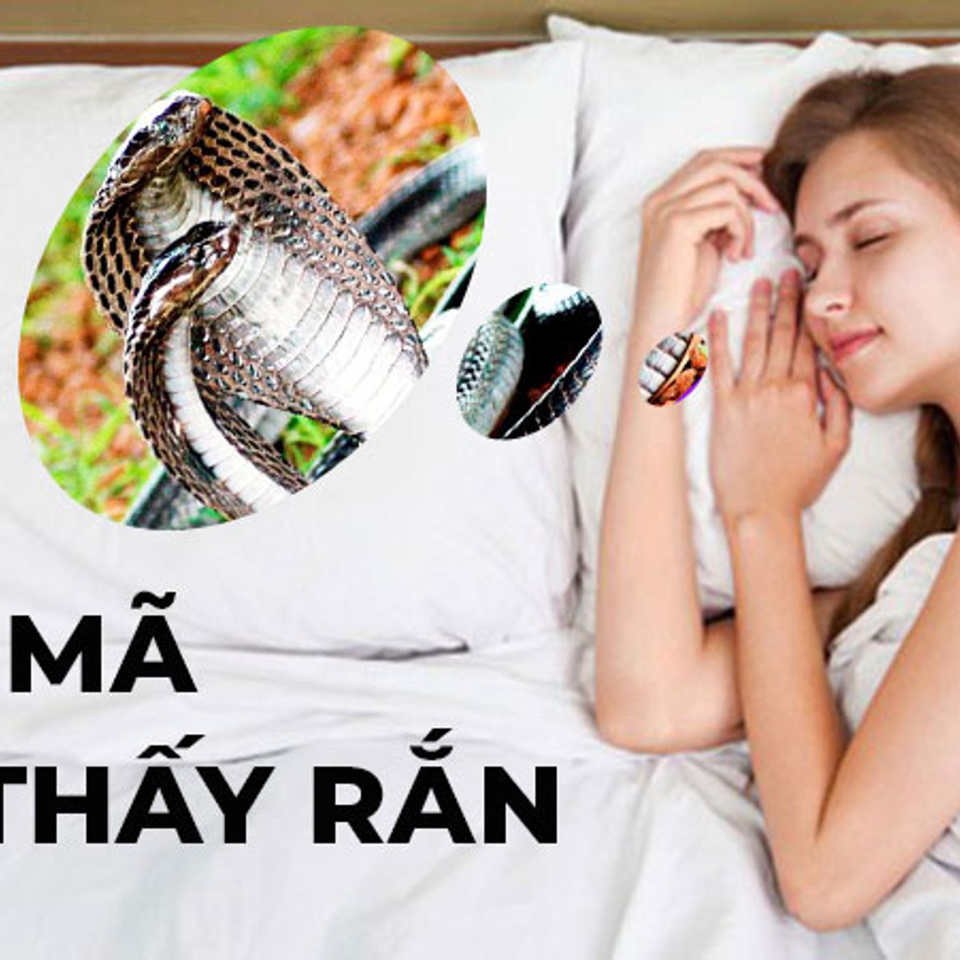 Nằm Mơ Thấy Rắn Chui Vào Người: Ý Nghĩa Và Con Số May Mắn episode artwork