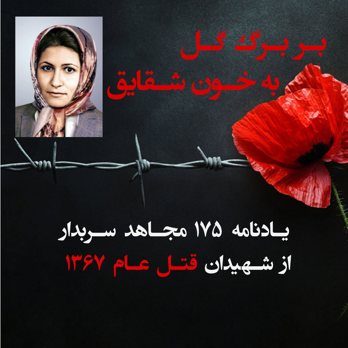 بر برگ گل به خون شقایق- فاطمه زارعی