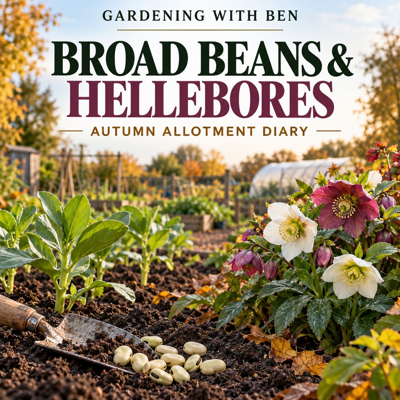 Planting Broad Beans & Winter Hellebores | Autumn Allotment Diary episode artwork