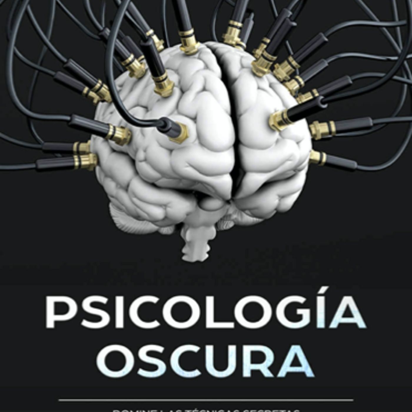 DEL LIBRO AL MICROFONO