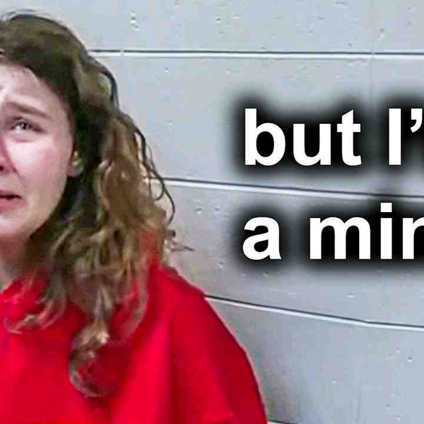 When Entitled Teens Realize They_ve Been Arrested episode artwork