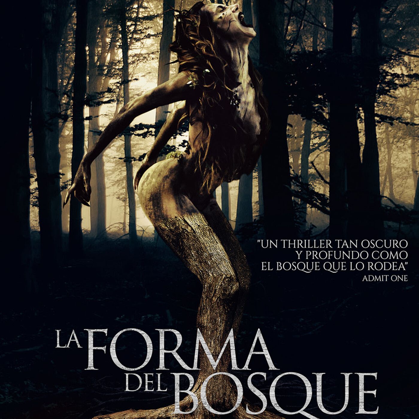 Entrevista a Gonzalo Mellid - Director de LA FORMA DEL BOSQUE episode artwork