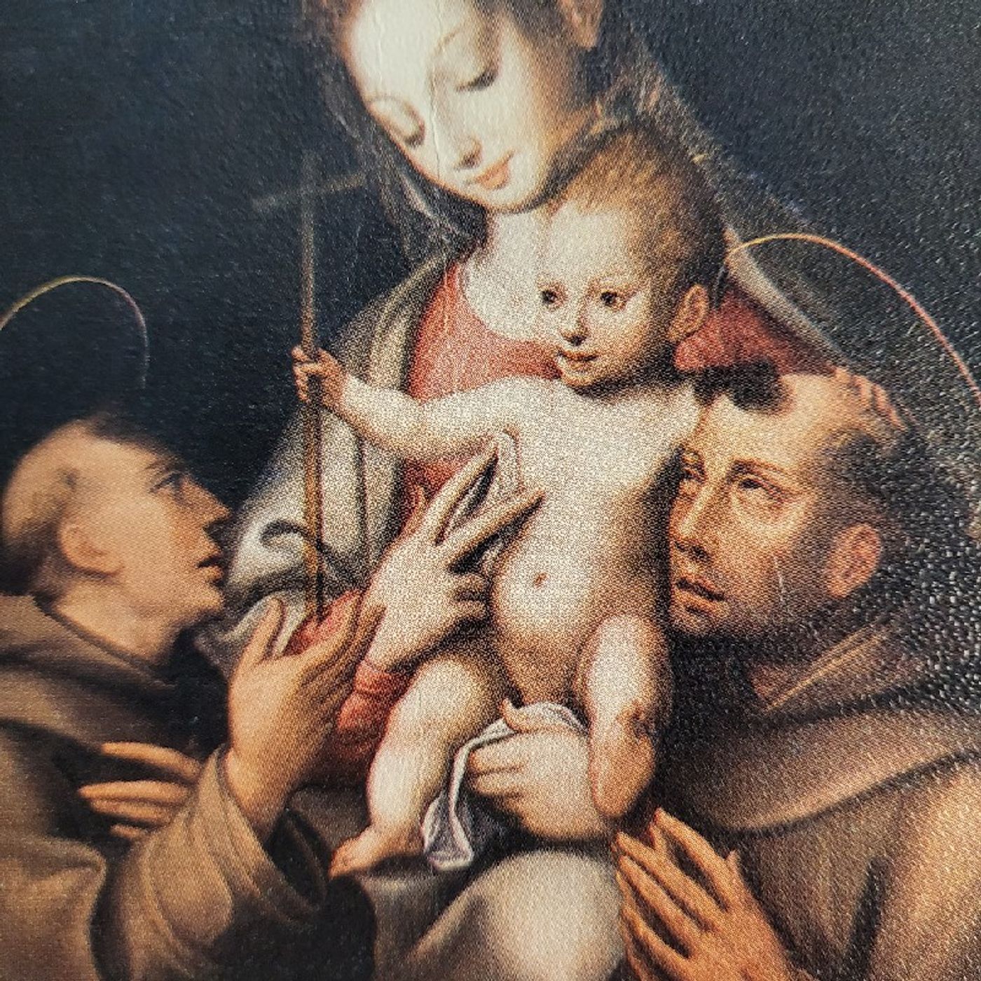 Terciarios