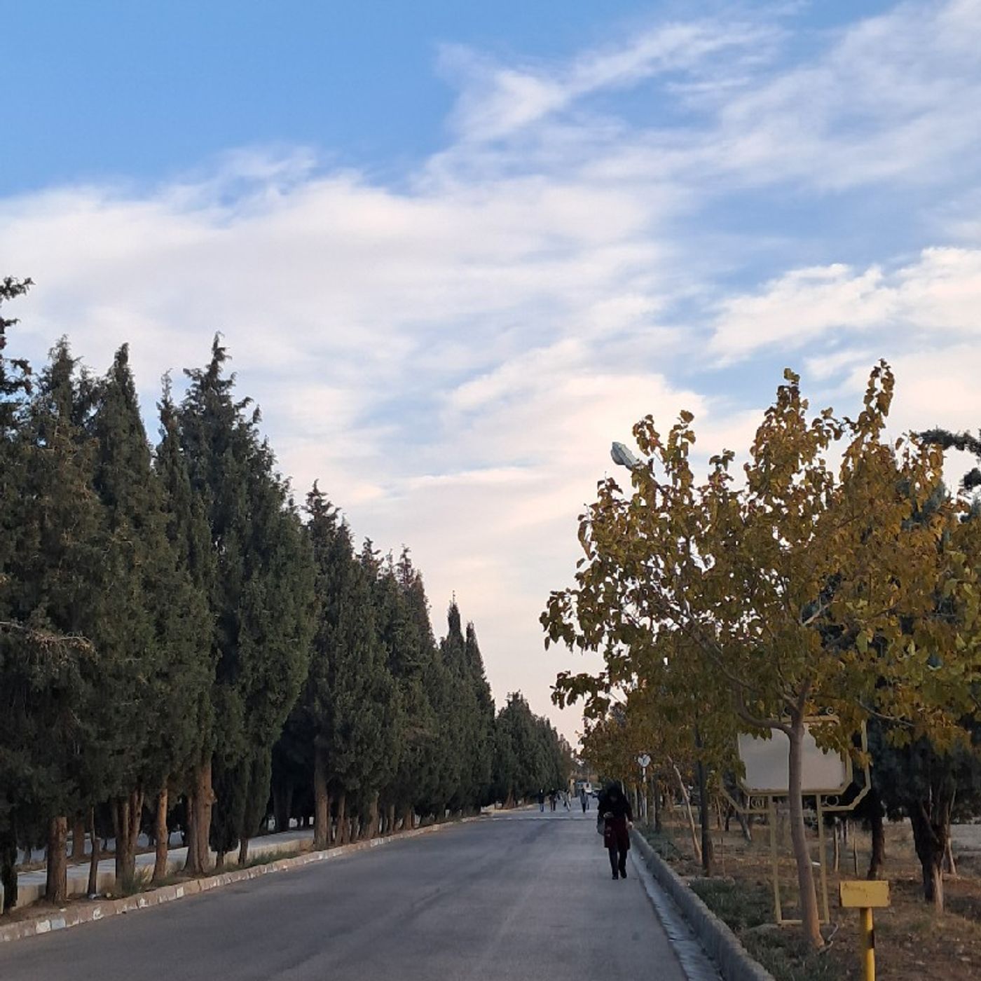 پادکست اجتماع و اقتصاد episode artwork