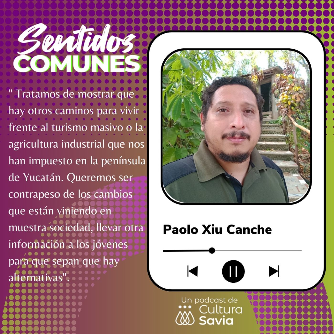 Sentidos comunes