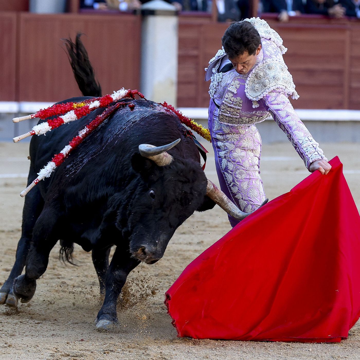 Al Alimon: Fracaso de El Vellosino en Las Ventas y el regreso de Morante y Roca Rey
