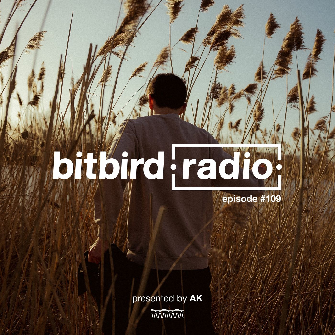 AK Presents: bitbird radio #109