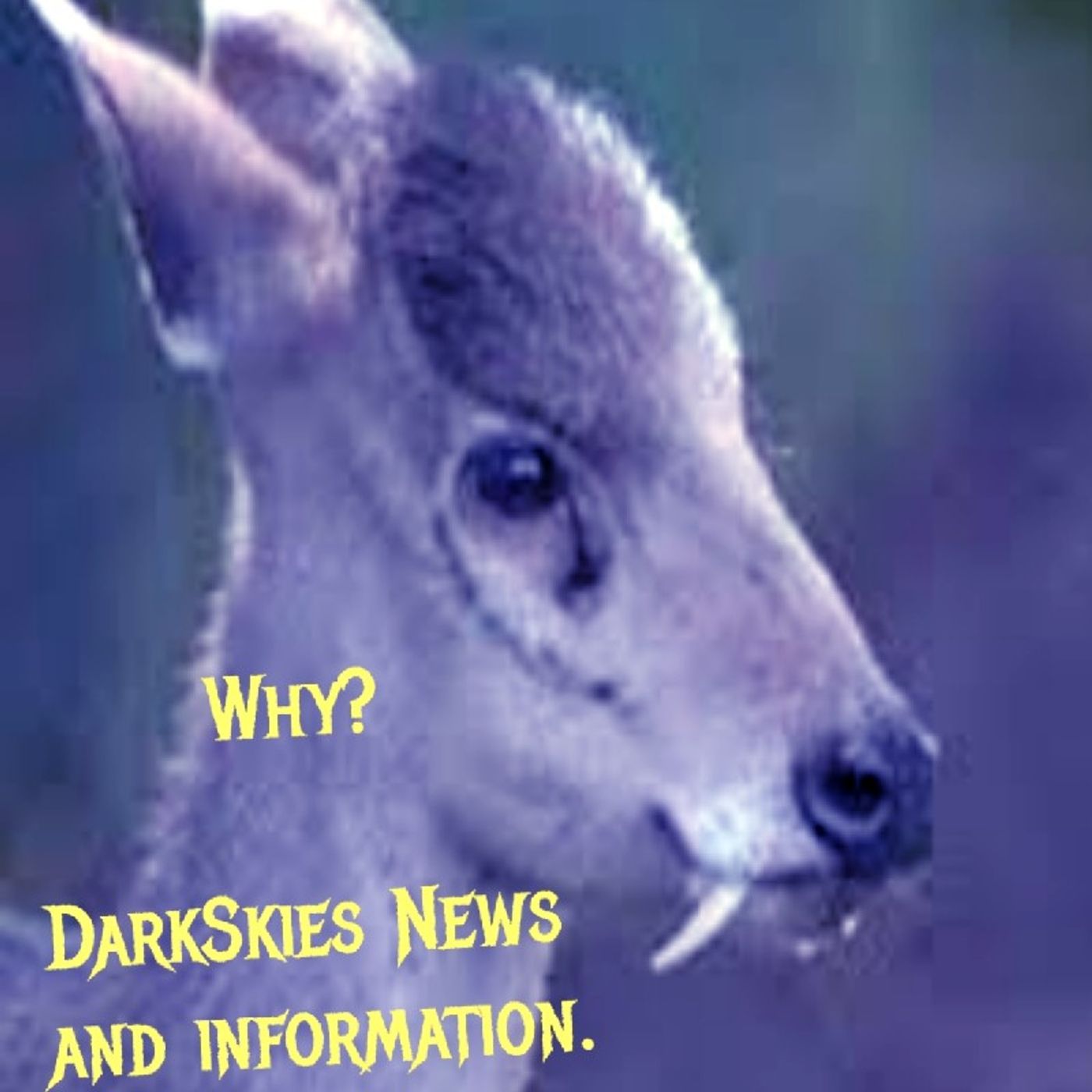 Why Do This Exist? Episode 192 - Dark Skies News And information episode artwork
