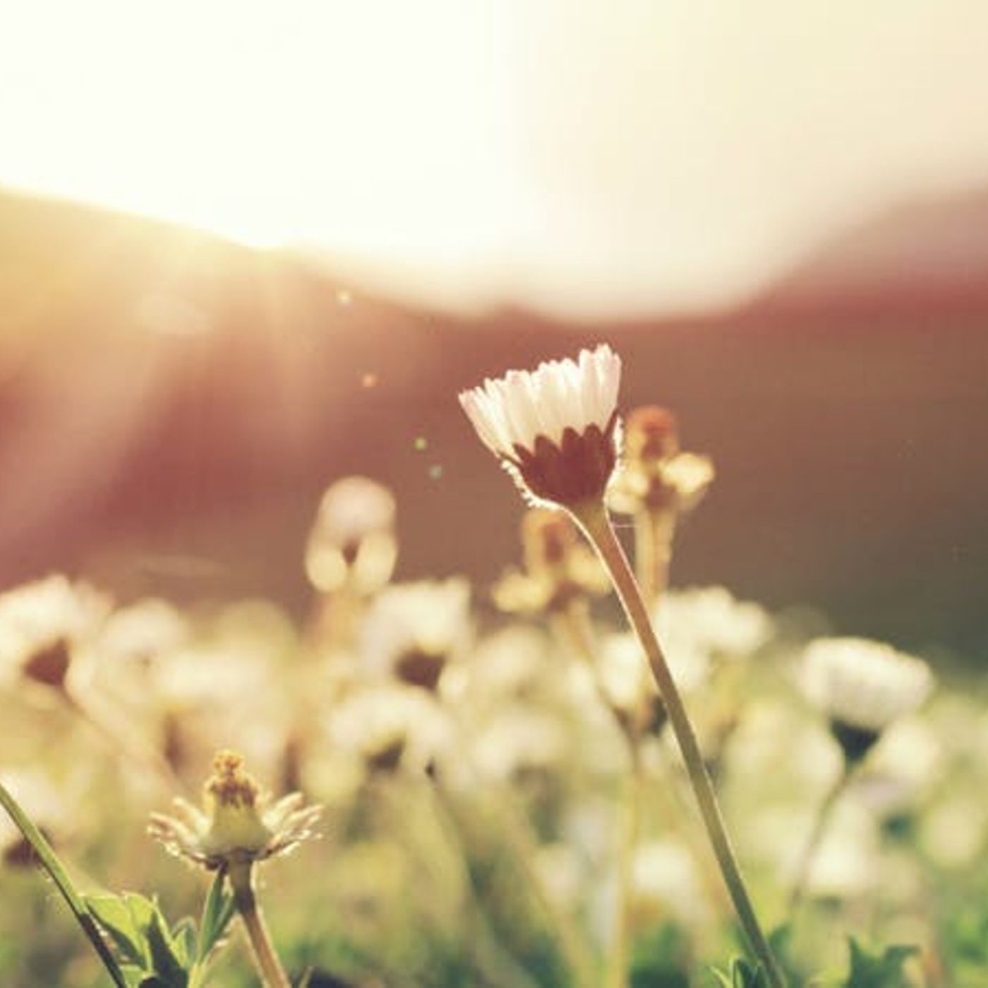 The Price and the Prize of the Gospel