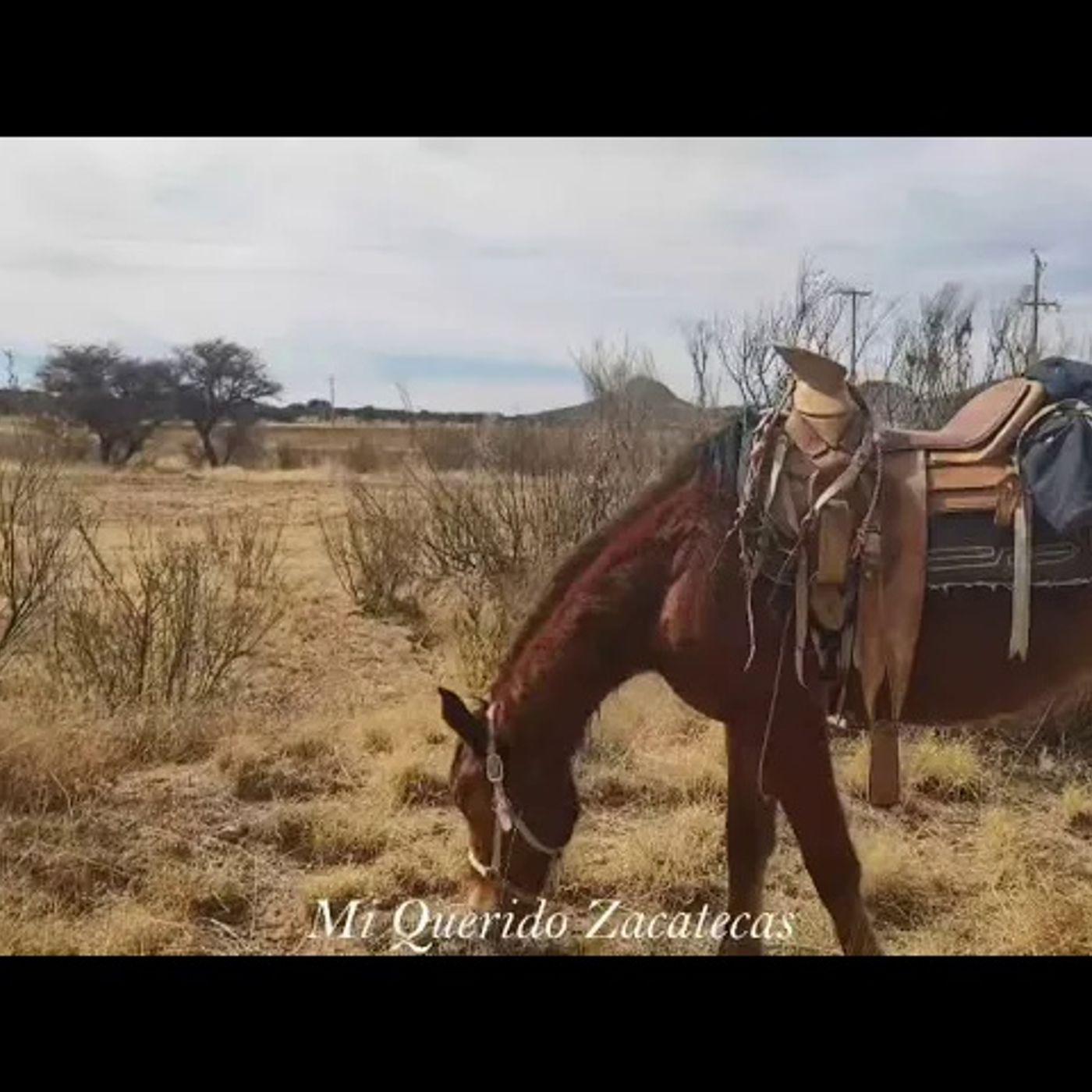 _PORFIRIO CADENA EL OJO DE VIDRIO_