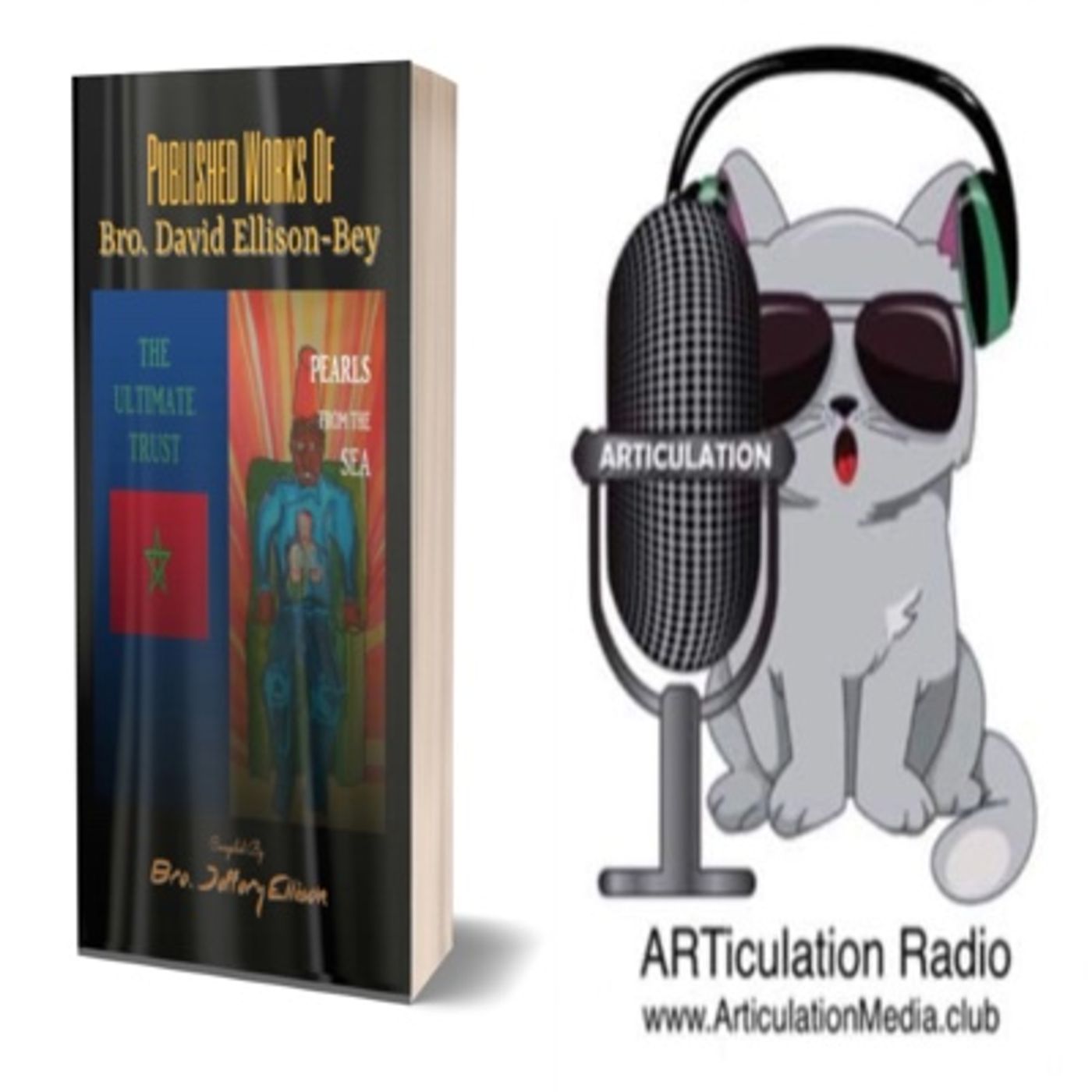 ARTiculation Radio — BN: HONORING WISHES OF LOVED ONES (author interview - Jeffery Ellison)
