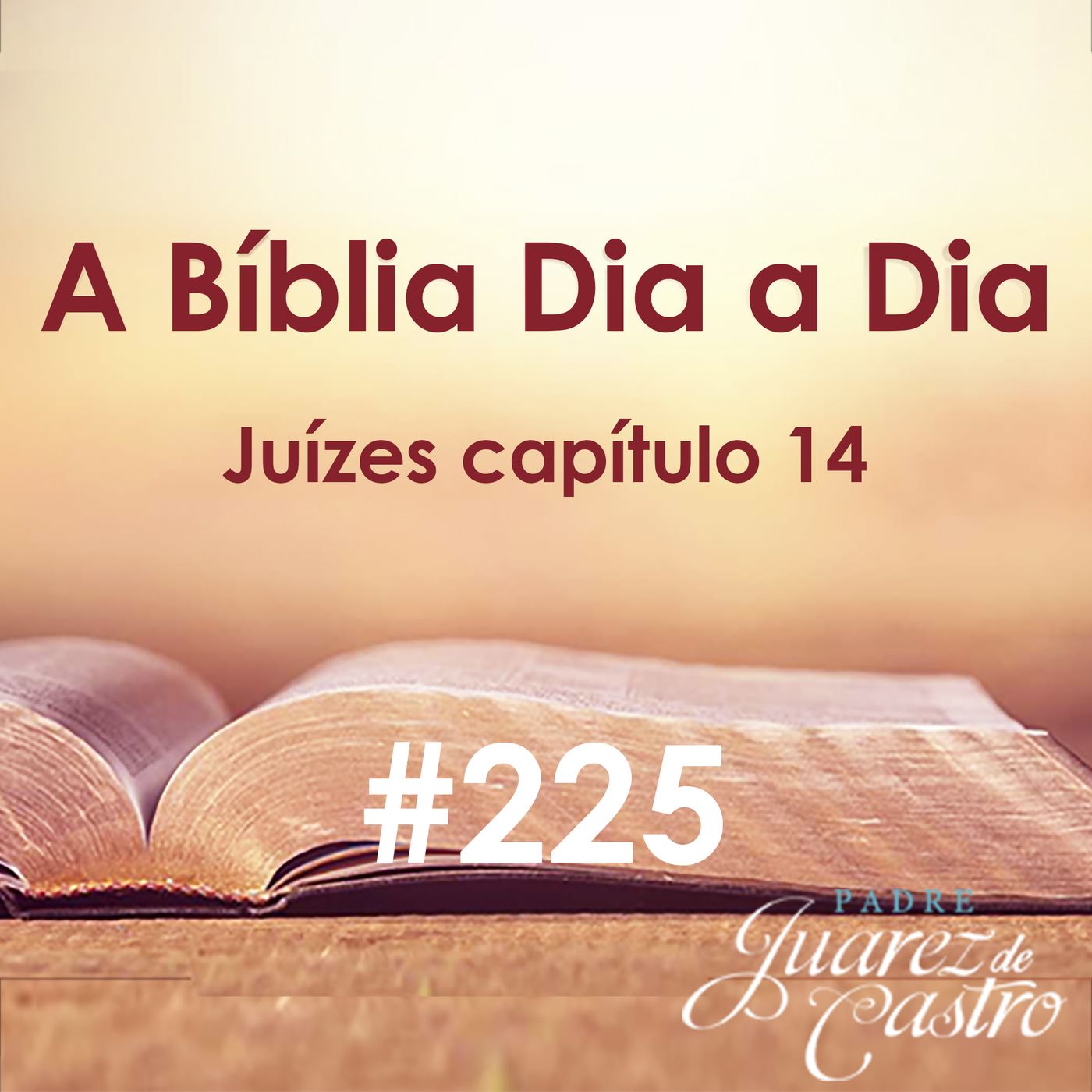 Curso Bíblico Padre Juarez