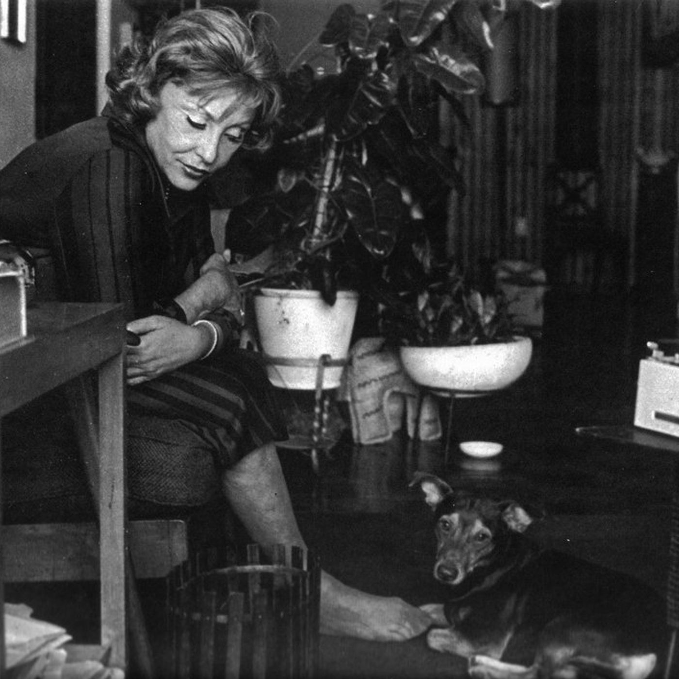 T Cuento T1 E7- La Bella y la Bestia o La Herida Demasiado Grande- Clarice Lispector