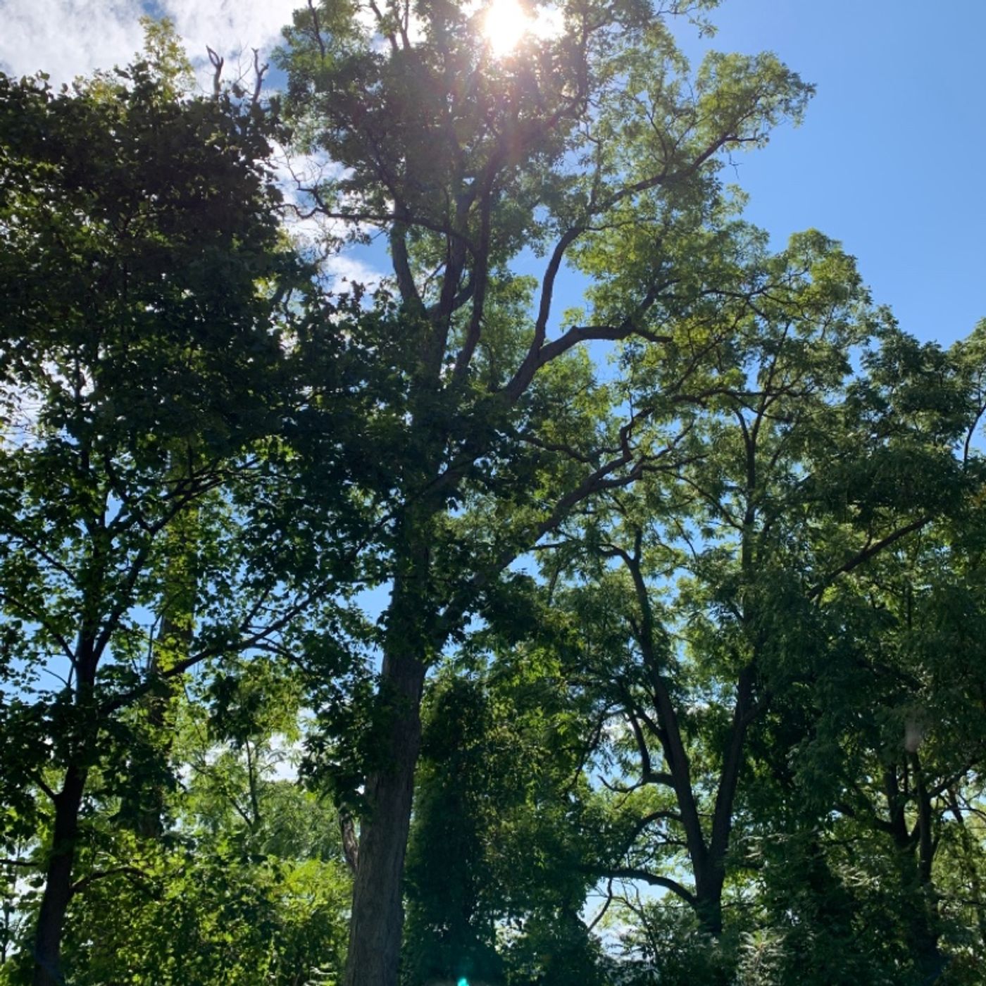 Prayer on the Go! - with Bishop Deb