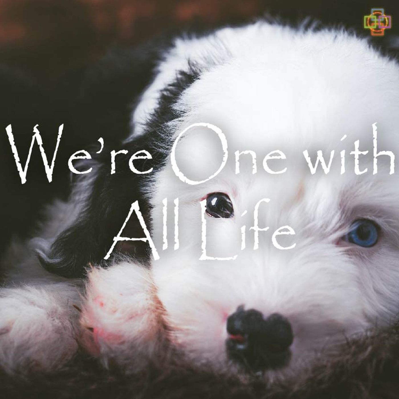 We’re One with All Life episode artwork